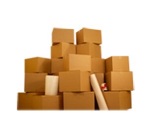 Sexy Secretary Large Size Office Moving Boxes Kit - NYC
